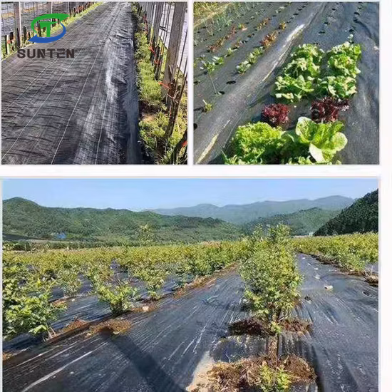 Negro/Verde/Blanco 50% Virgen PP/PE/Geotextil tejido de plástico para control de malezas/Tejido para agricultura/jardín/paisaje